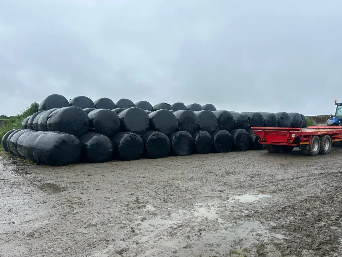 First and Second cut Silage - Image 4