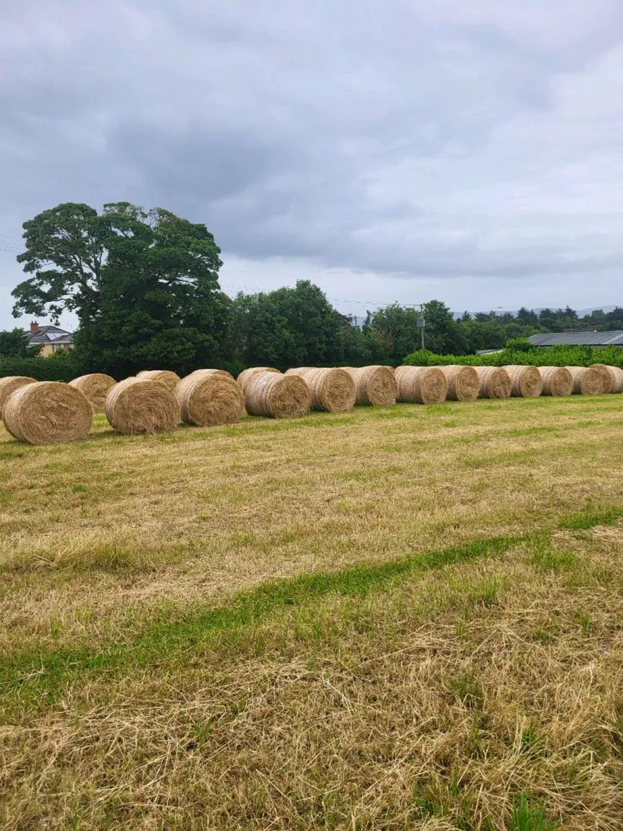 Round Bales
