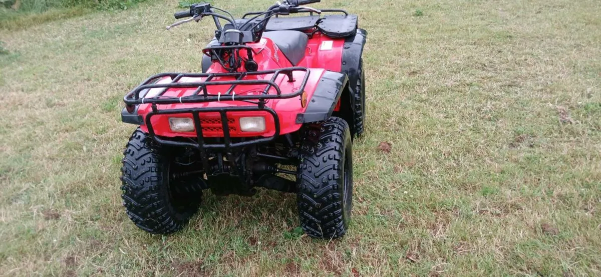 Honda fourtrax 300 - Image 2