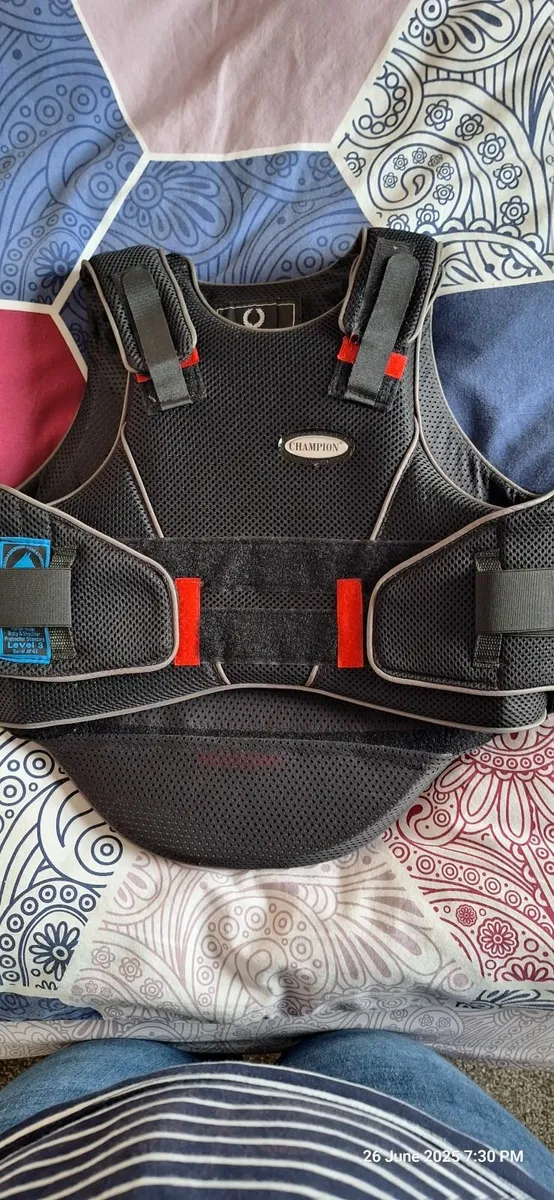 Body protector - Image 1