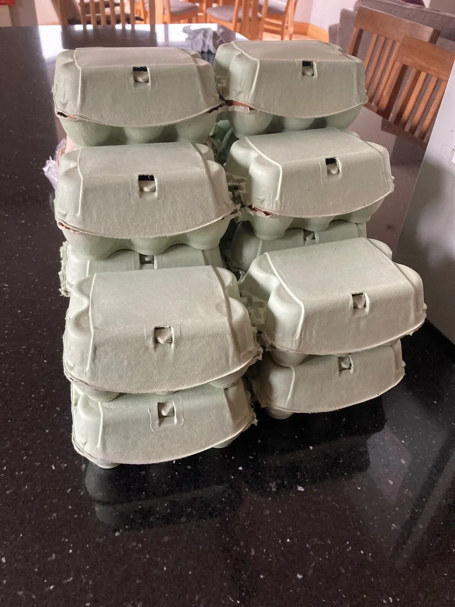 Free Range Eggs - Image 2