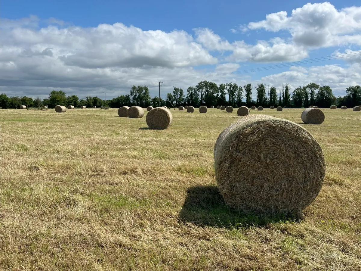 New Hay & Haylage - 1st Crop - Image 2