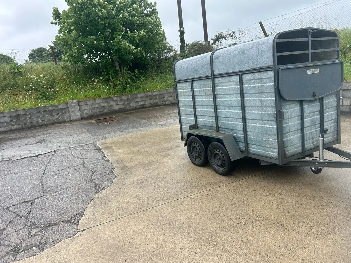 Eight by four cattle trailer - Image 1