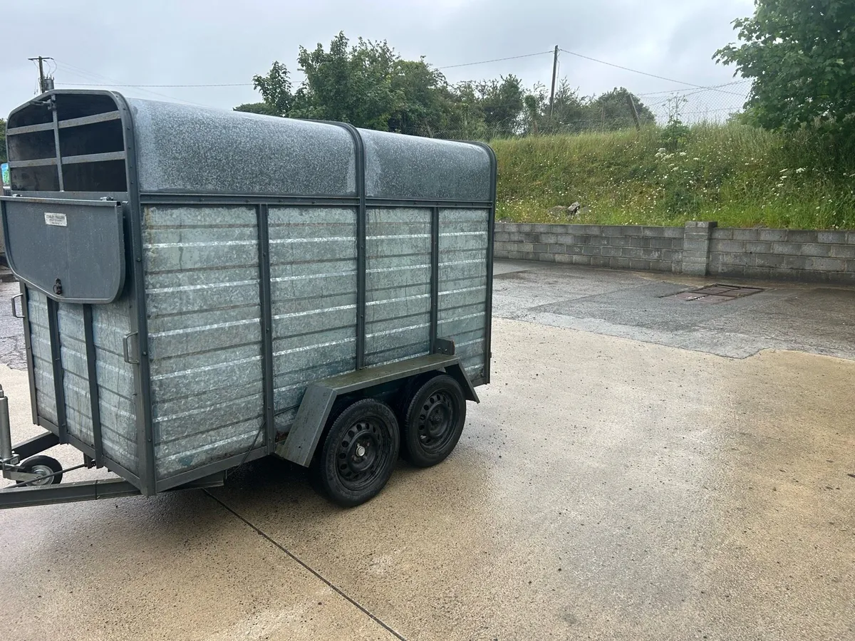 Eight by four cattle trailer - Image 2