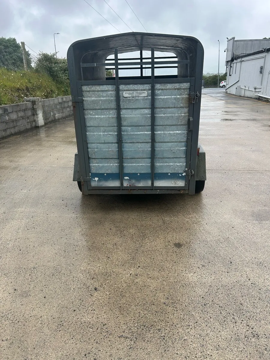 Eight by four cattle trailer - Image 3