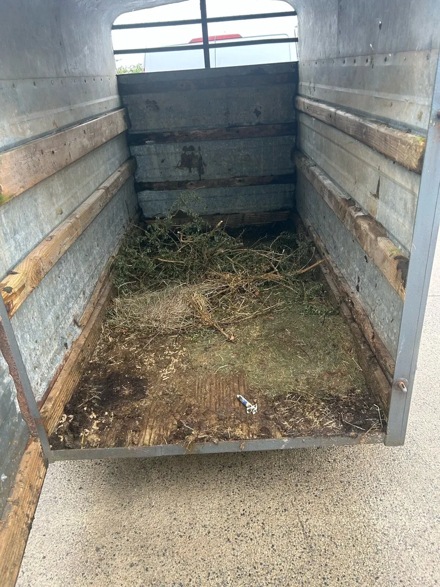 Eight by four cattle trailer - Image 4