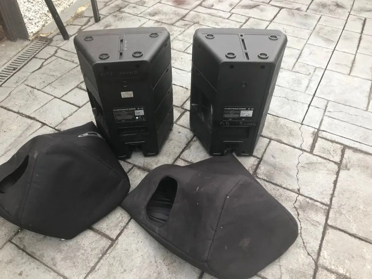Dynacord D12 Pair - Image 3
