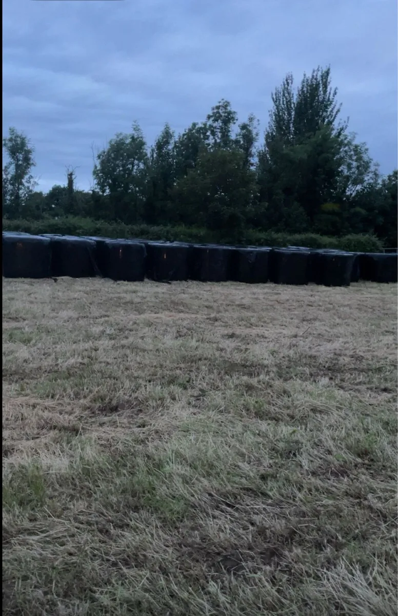 Bales of silage - Image 1