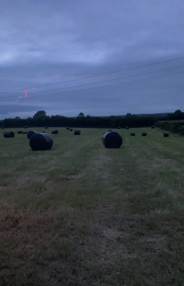 Bales of silage - Image 3