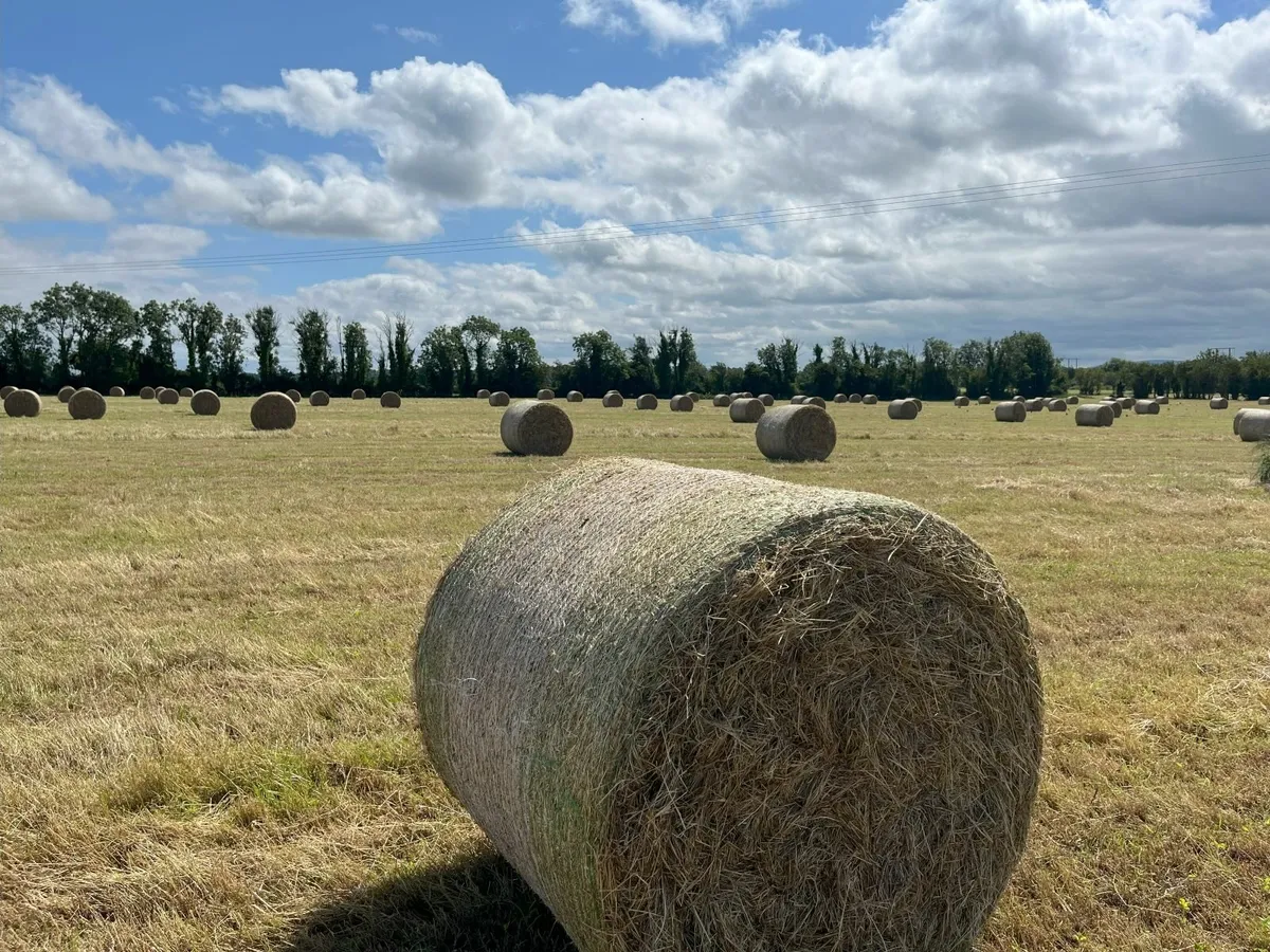 New Hay & Haylage - 1st Crop - Image 1