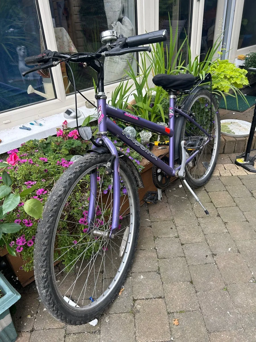 Ladies Bike - Image 3