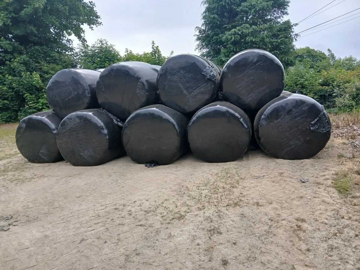 Haylage - Image 3