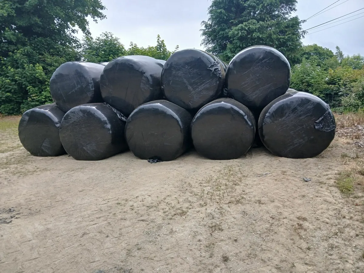 Haylage - Image 4