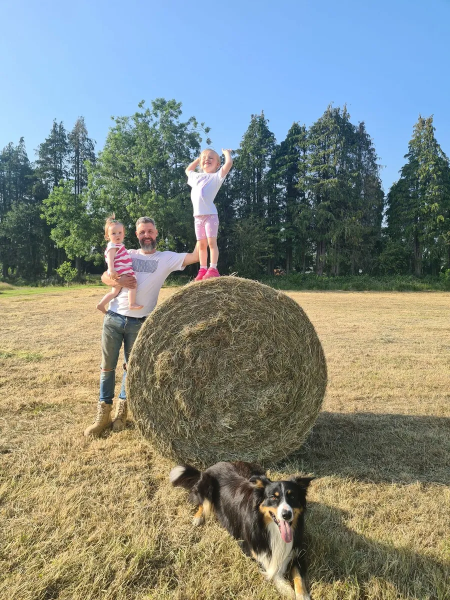 Hay for sale