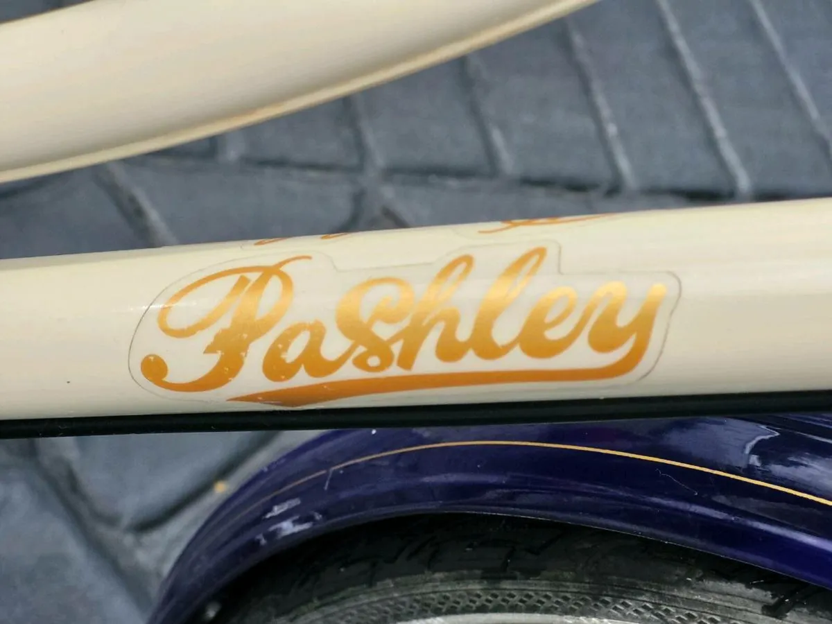 LADIES LARGE PASHLEY BIKE VGC. - Image 3