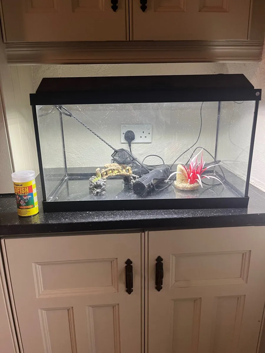 Fish Tank