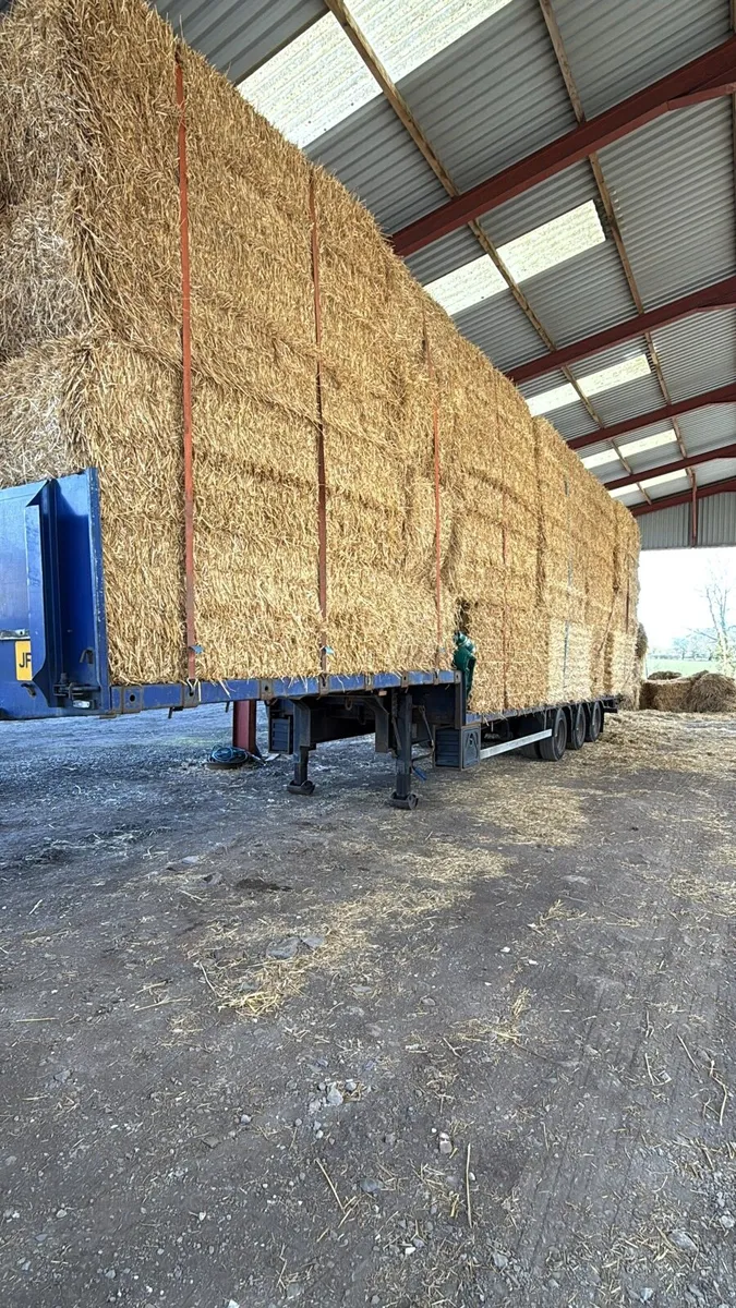 Now Taking orders Irish 2025 straw - Image 3