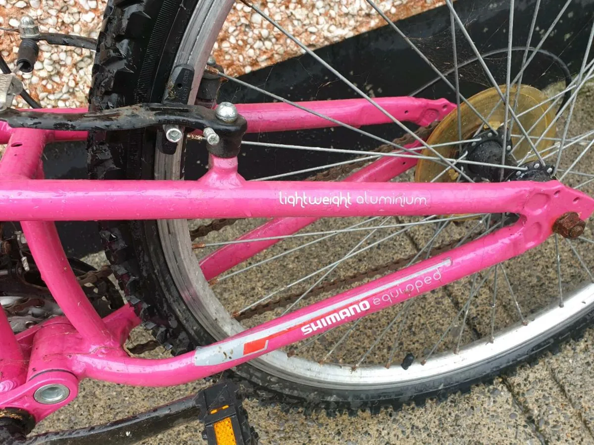 LADYS/ TEENS BIKE - Image 4