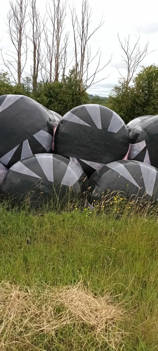 Silage bales