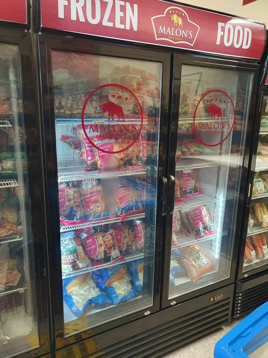Display Freezer double doors - Image 2