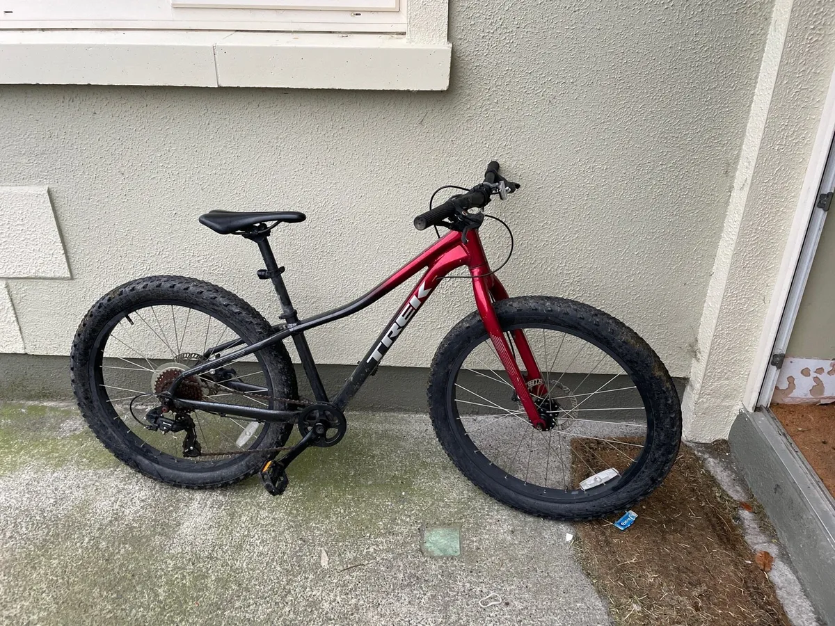 Mountain bike - Image 1