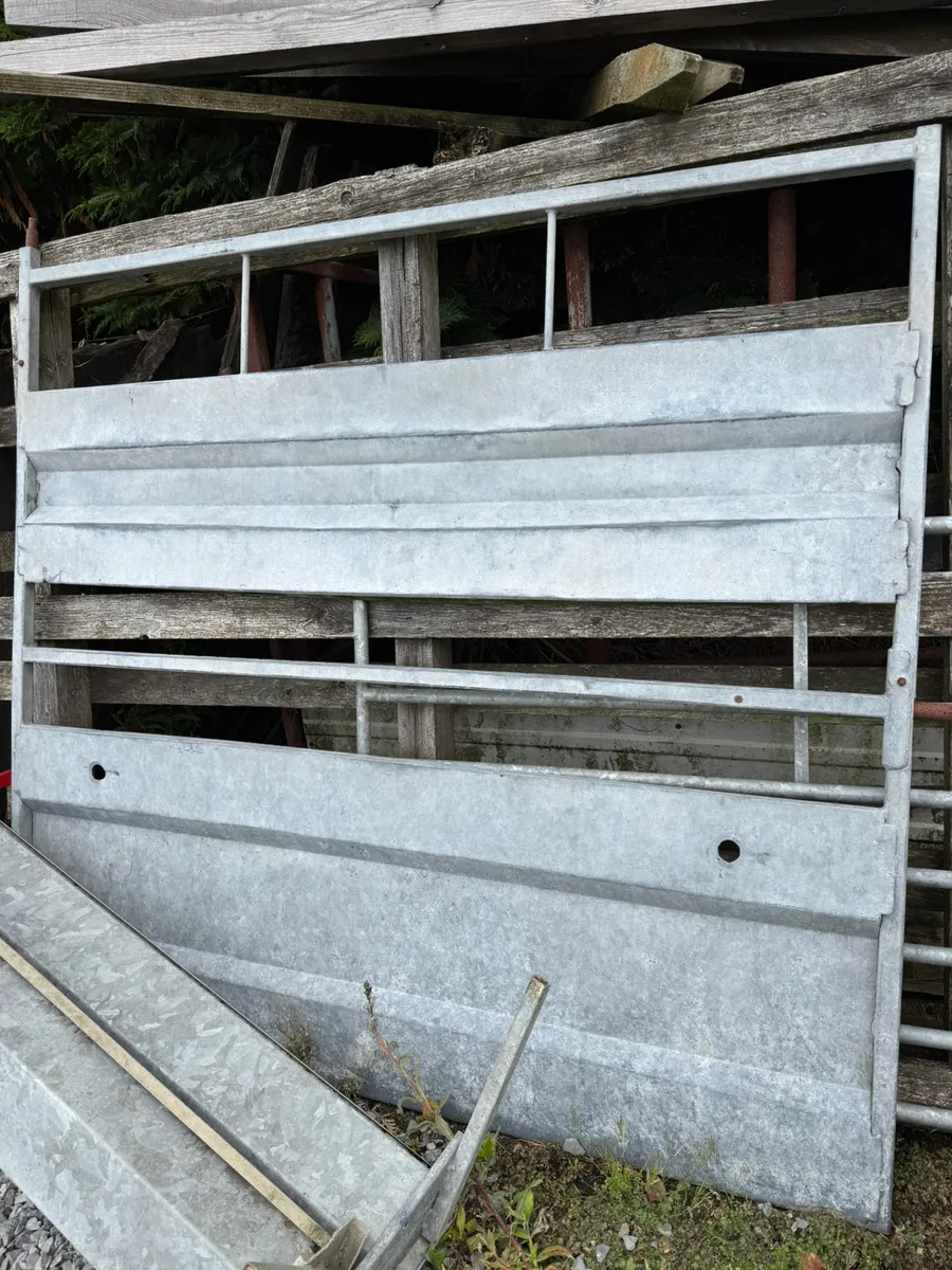 Ifor/nugent trailers - Image 4