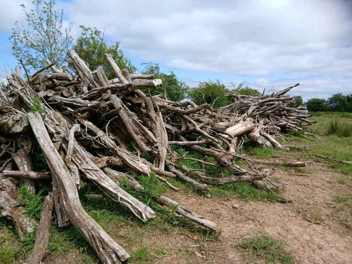Firewood