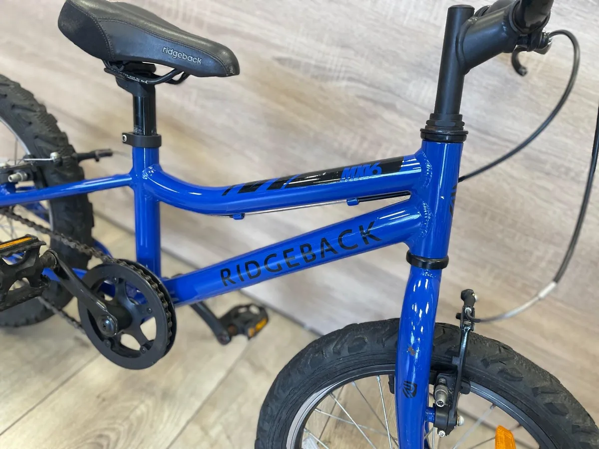 Ridgeback MX16 (like new) - Image 4