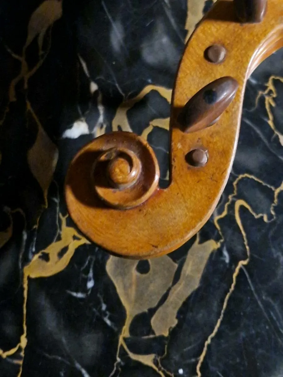 Violin - Image 4
