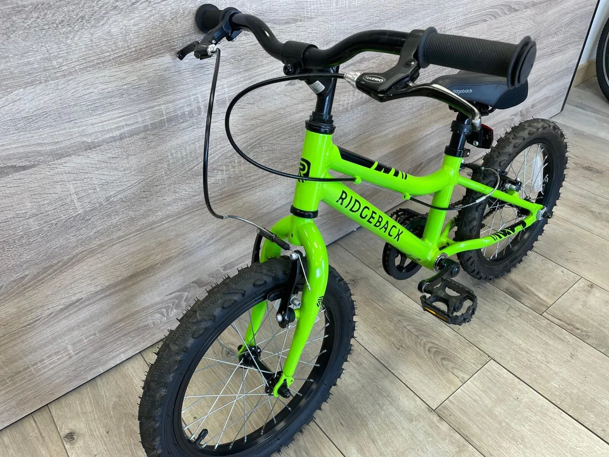 Ridgeback MX16 (like new) - Image 3