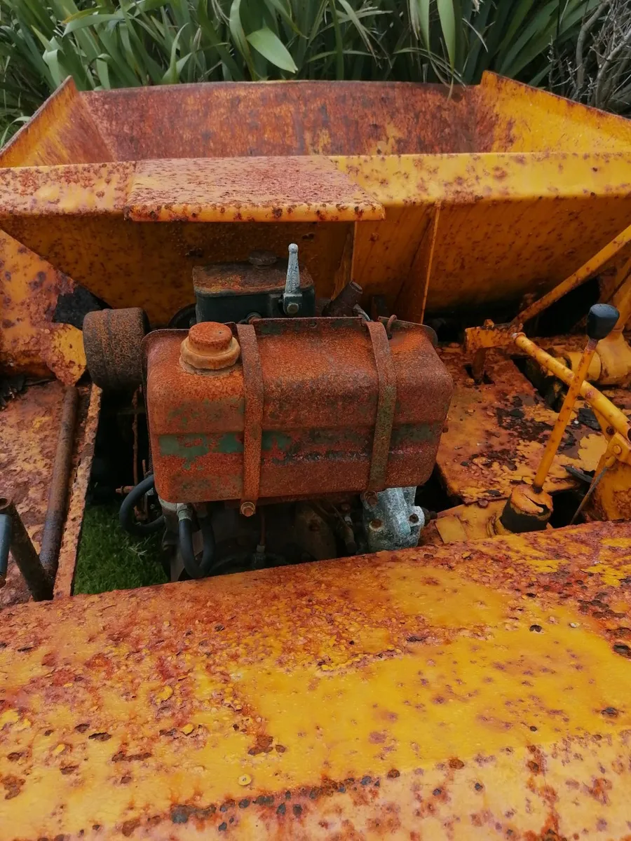 Small Dumper - Image 2