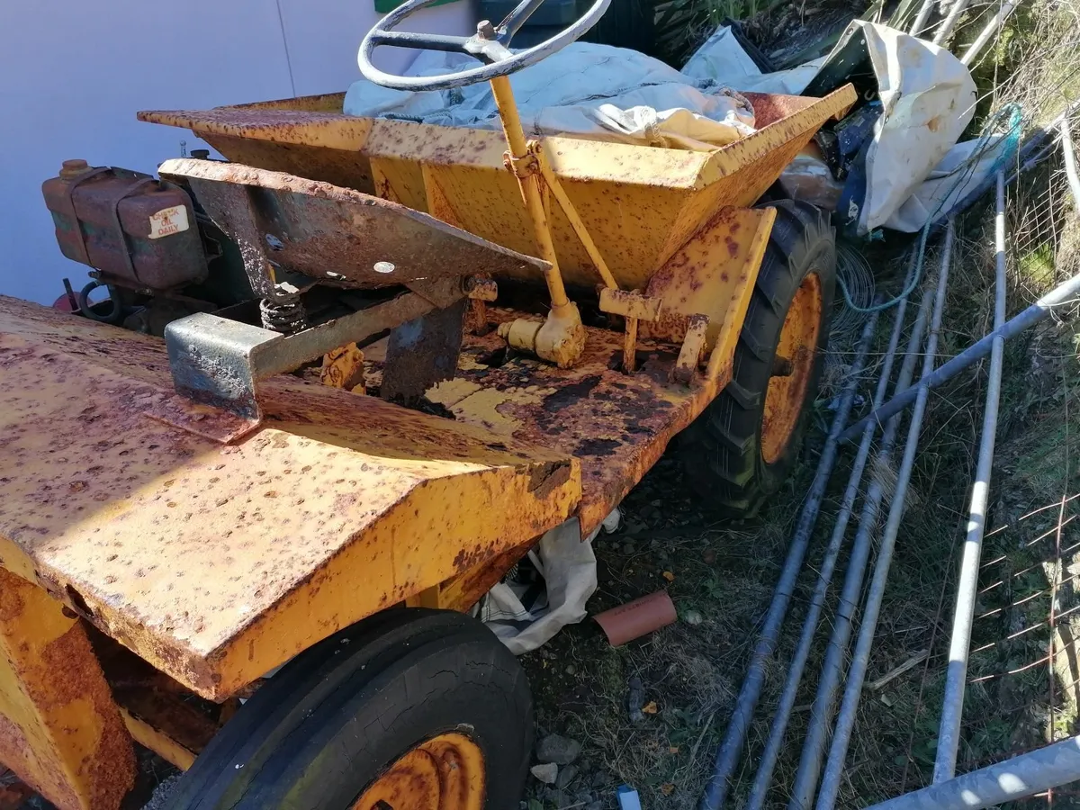 Small Dumper - Image 4