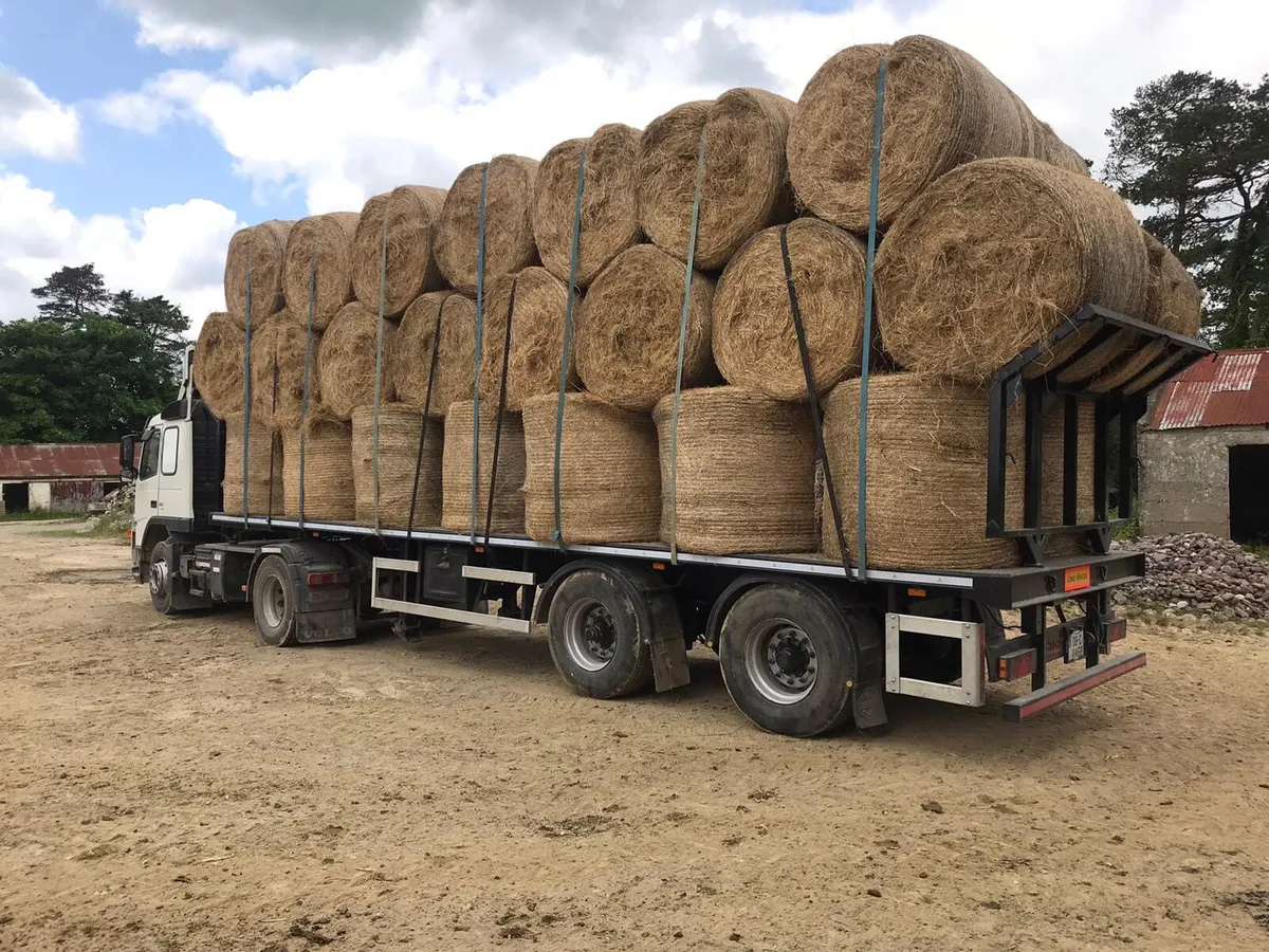Hay