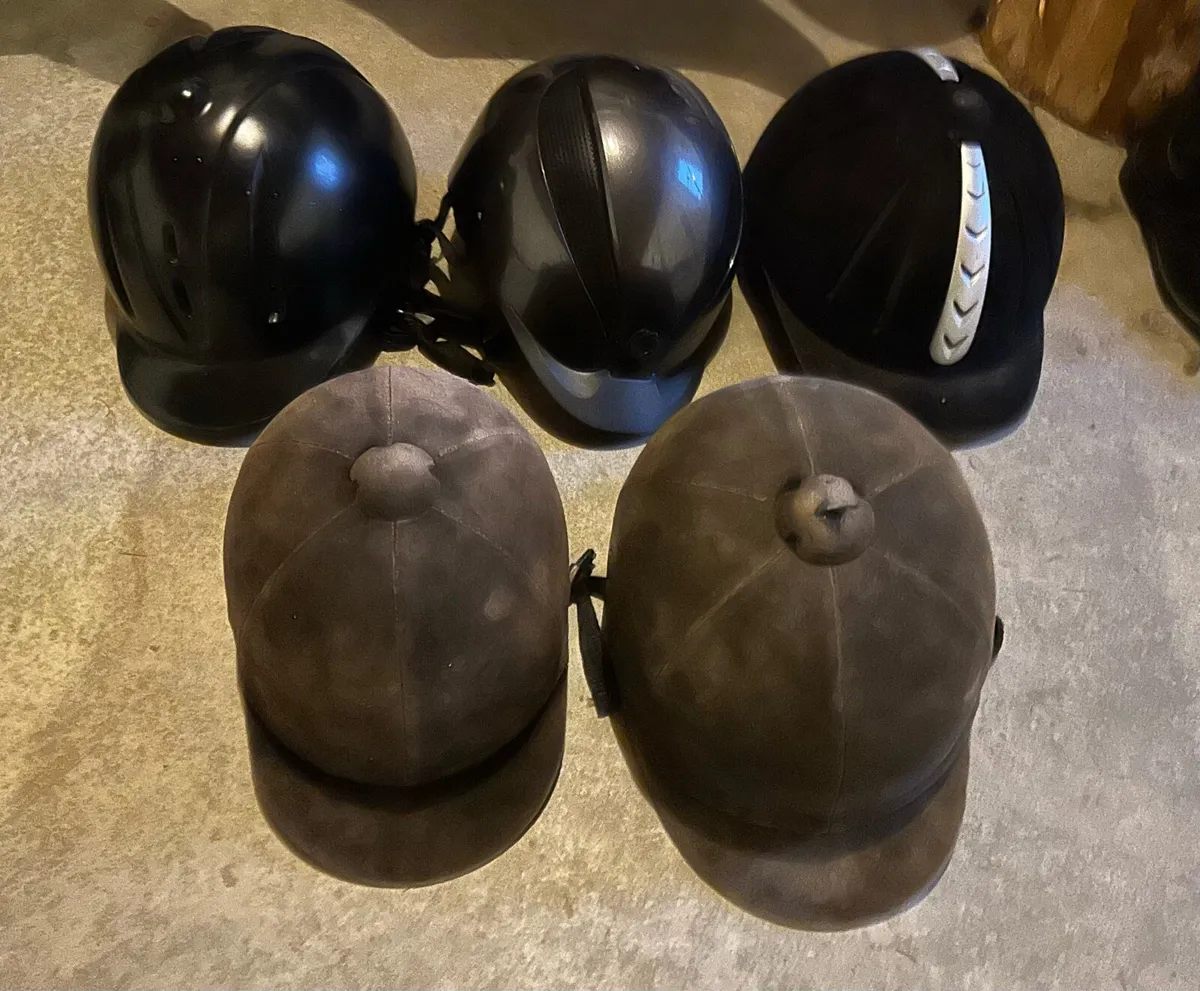 Horse Riding Equipment - Image 2