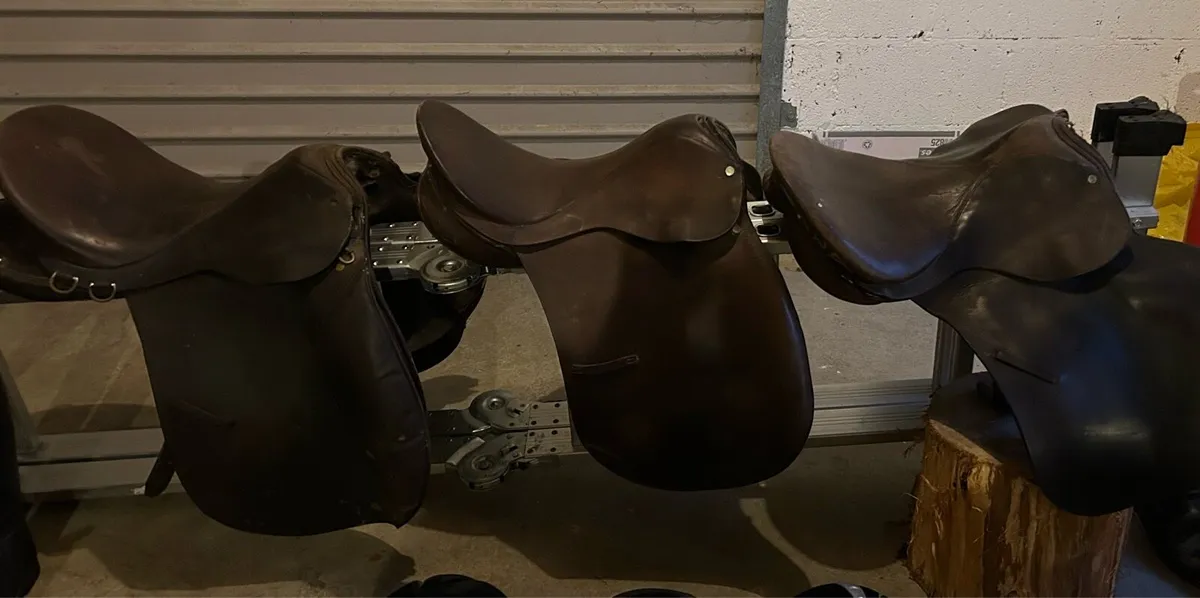 Horse Riding Equipment - Image 3