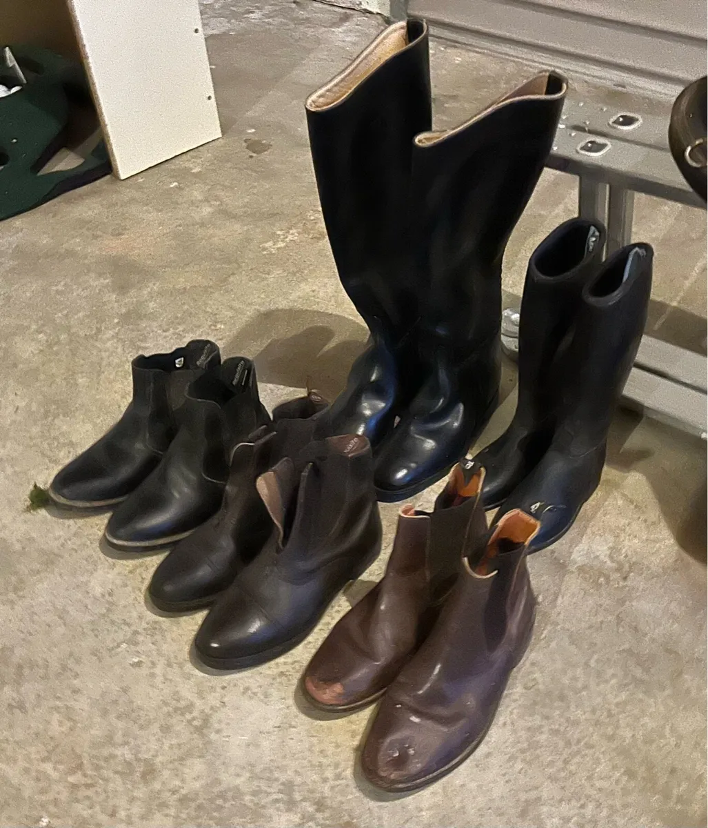 Horse Riding Equipment - Image 4