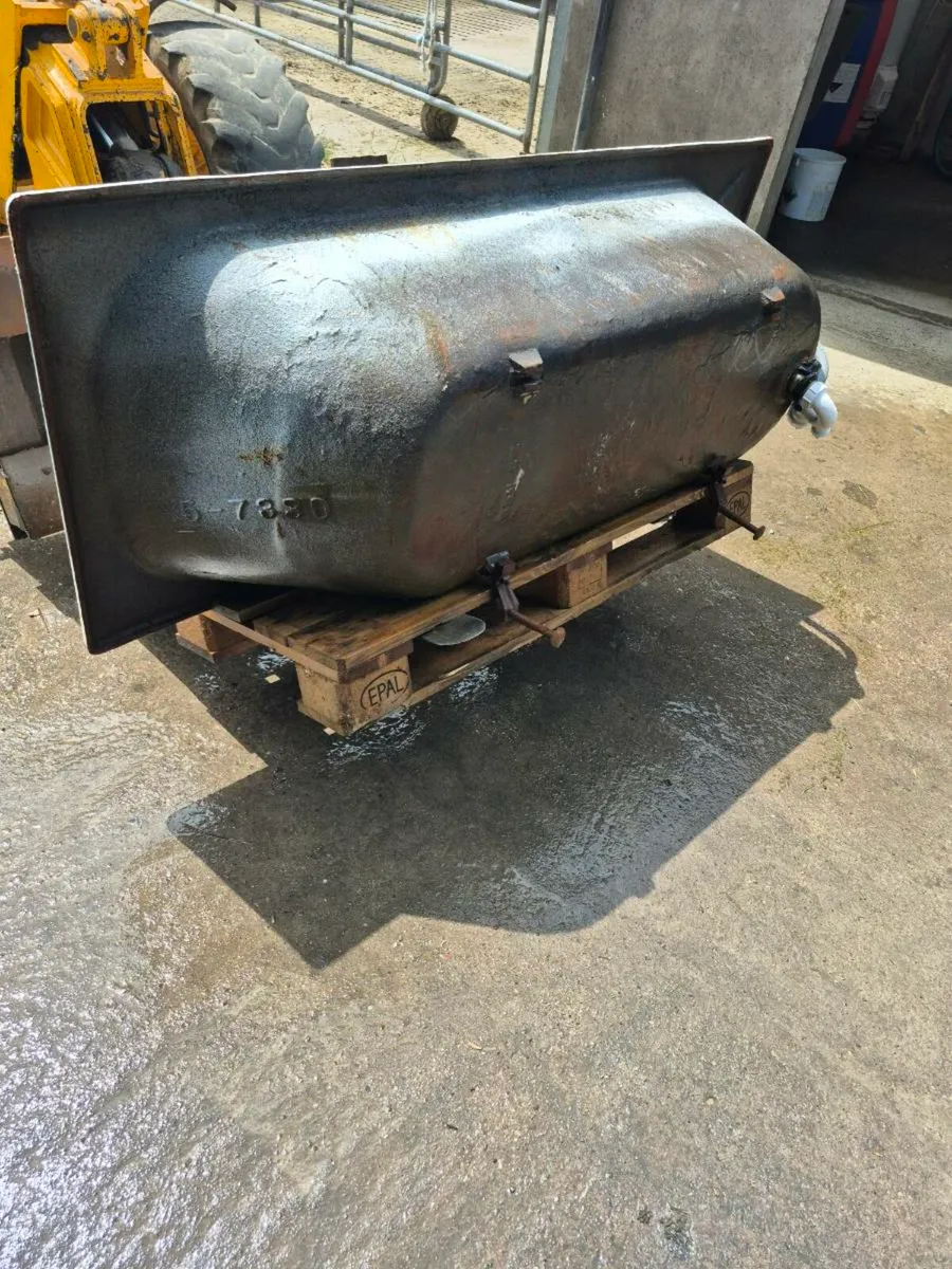 Cast iron bath - Image 4