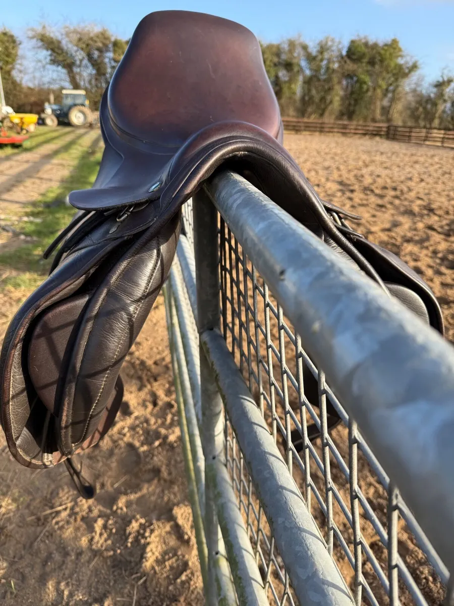 Barnsby jump saddle - Image 3