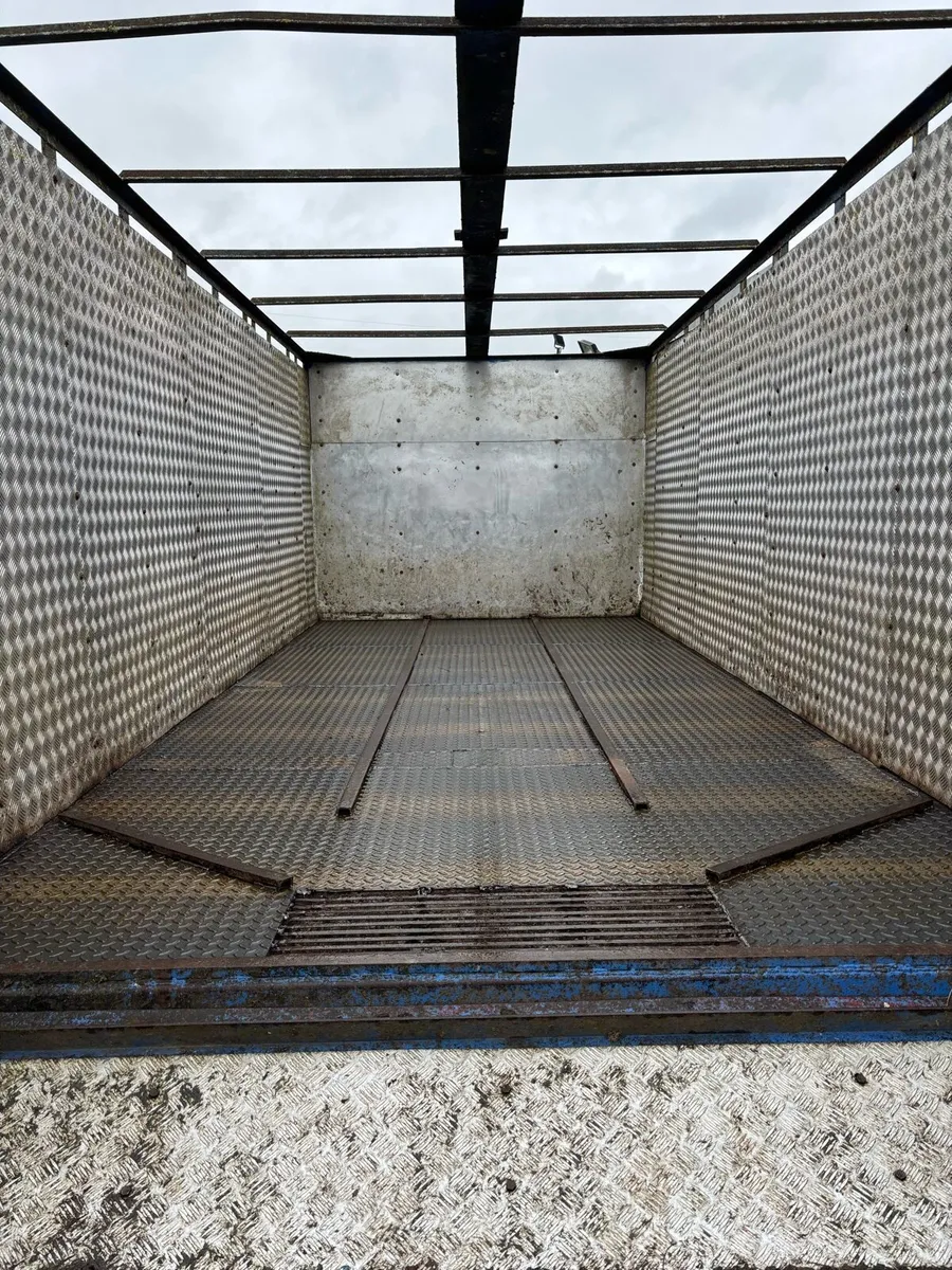 17ft Dooley cattle trailer - Image 2