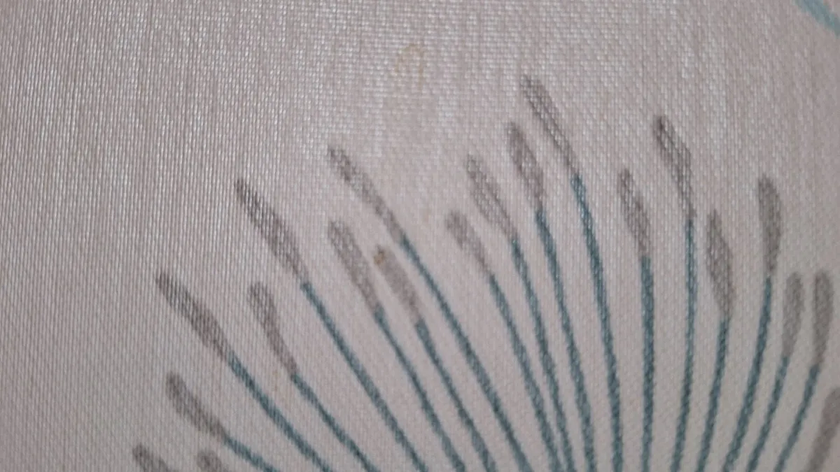 blind - Image 2