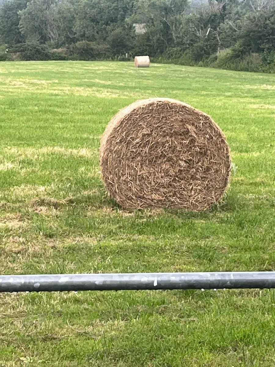2025 June Hay - Image 4