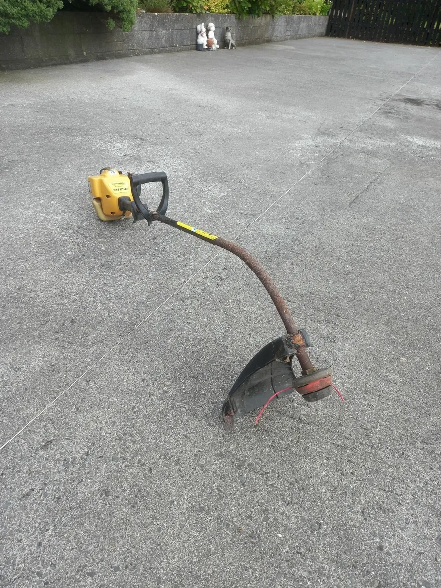 McCullough Strimmer and  Electric lawnmower - Image 2