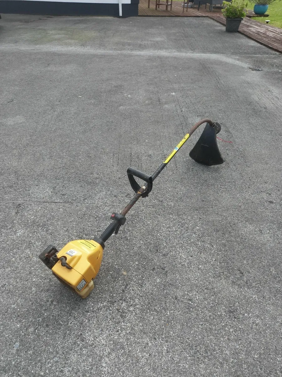 McCullough Strimmer and  Electric lawnmower - Image 4