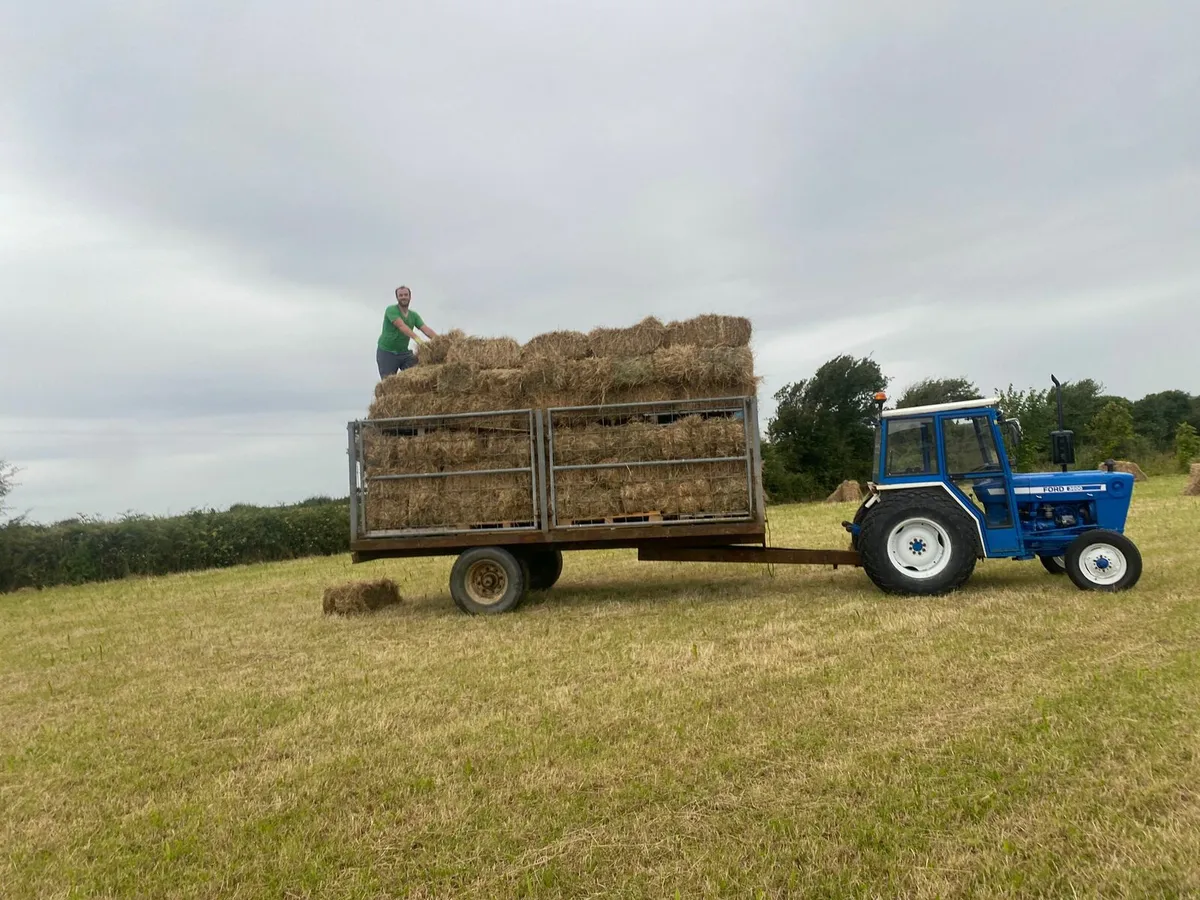 Small square hay bales