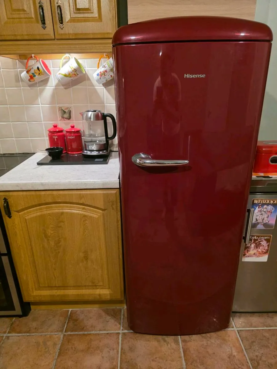 Fridge freezer - Image 1