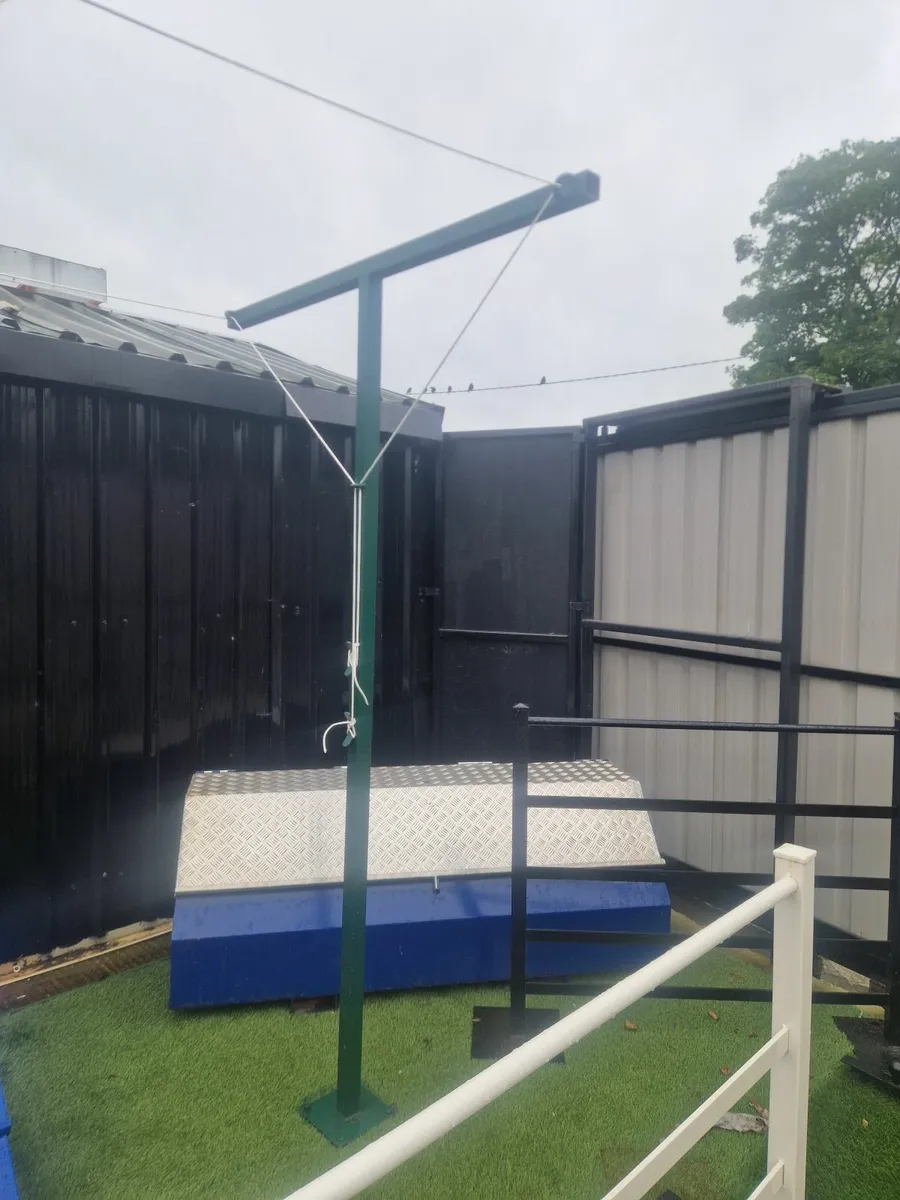 washing line - Image 2