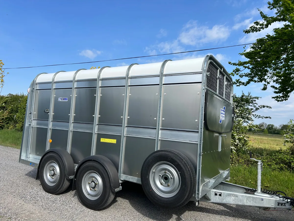 New Ifor Williams 12x6 TA510 Livestock Trailer - Image 2