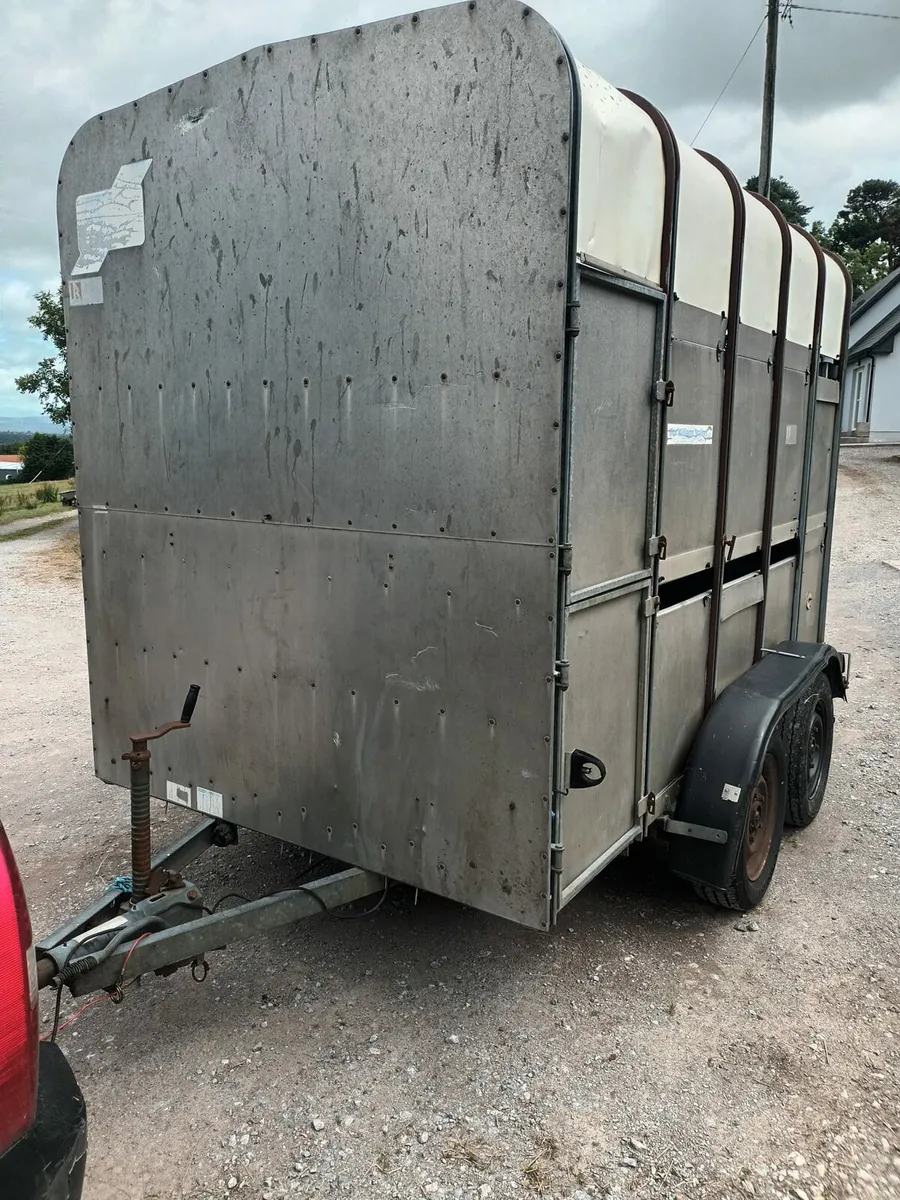 Ifor Williams 10ft x 6ft cow box (with divider) - Image 1