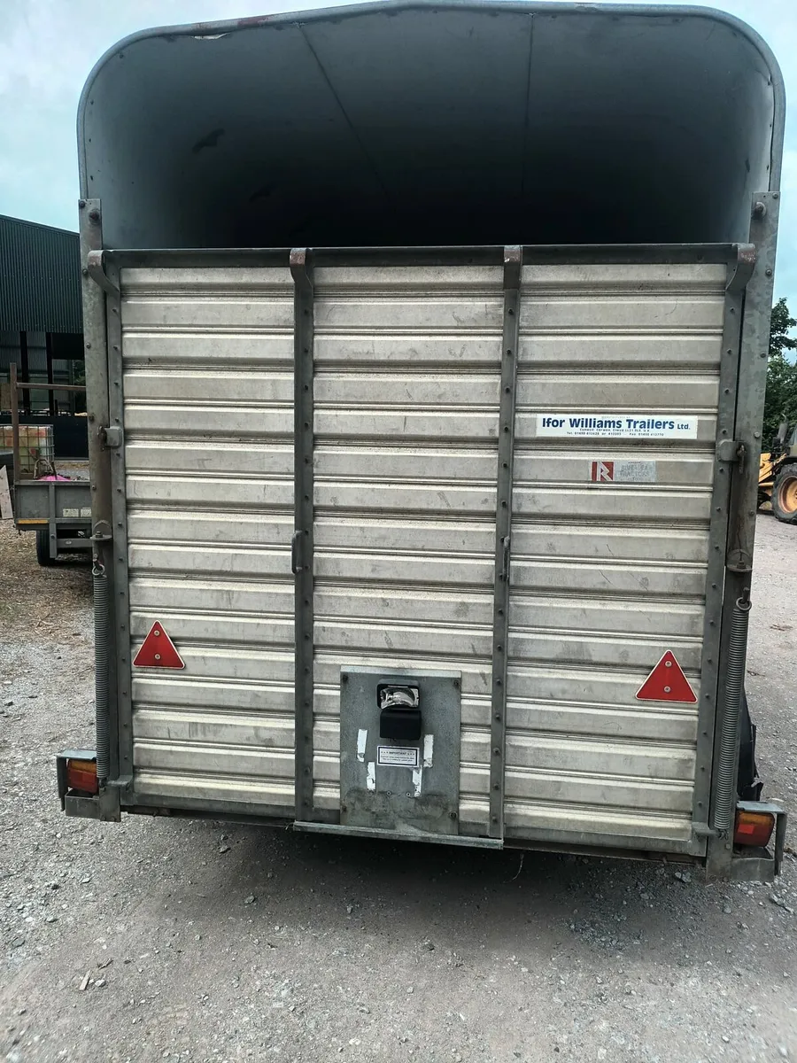 Ifor Williams 10ft x 6ft cow box (with divider) - Image 4