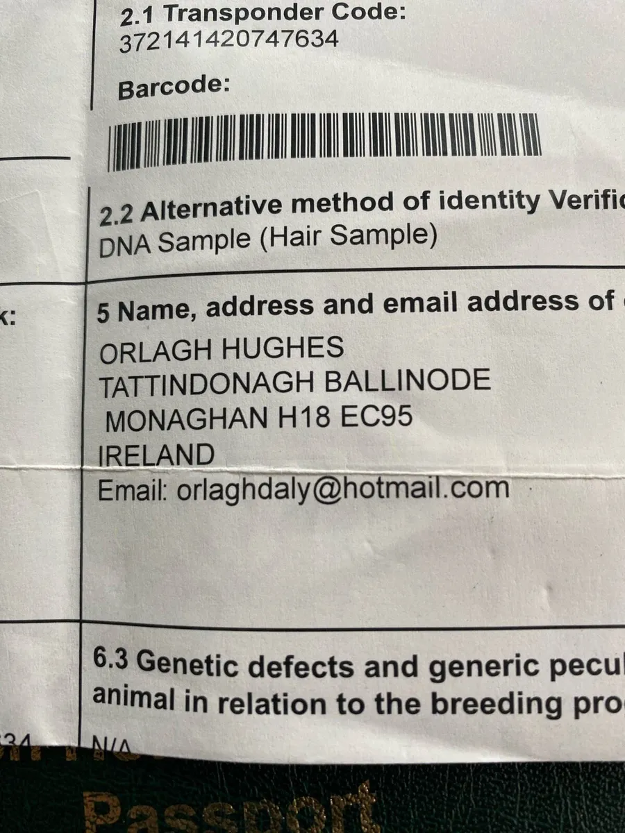 Horse passport found - Image 2